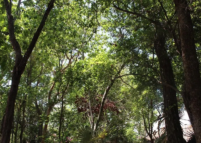 Casita Kuxtal Lodge *